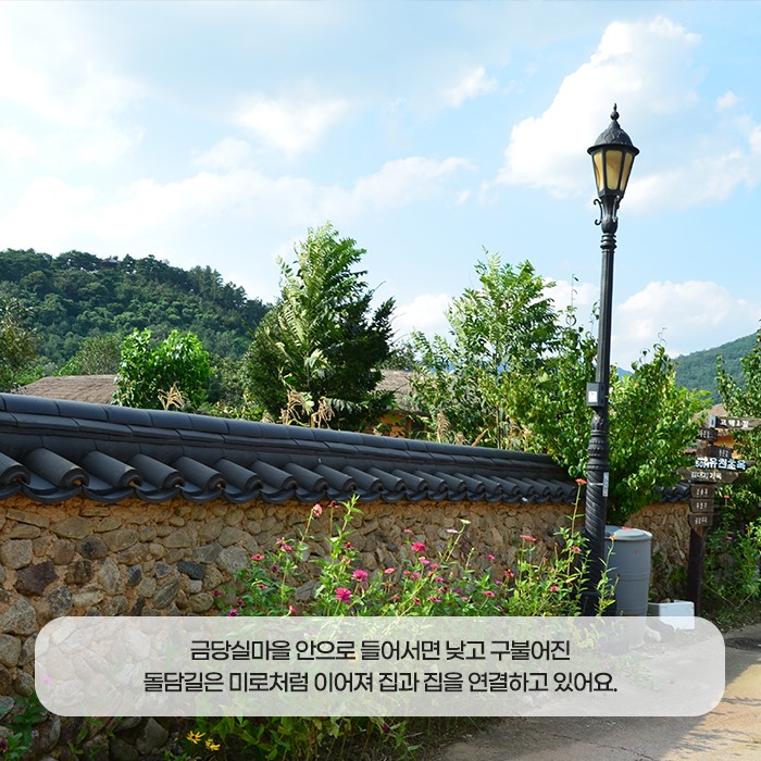 3.예천 금당실 송림과 금곡서원